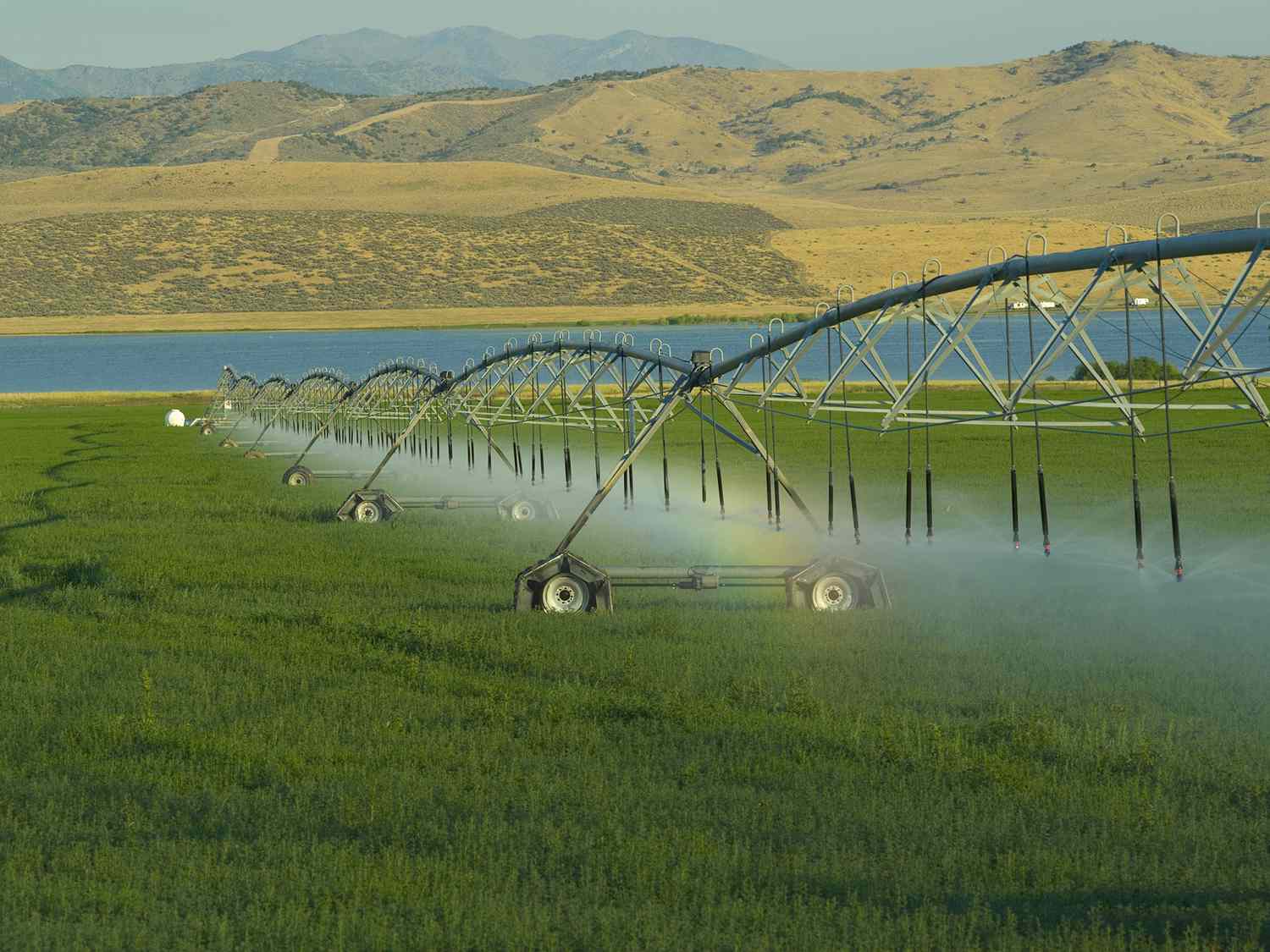 Irrigation System