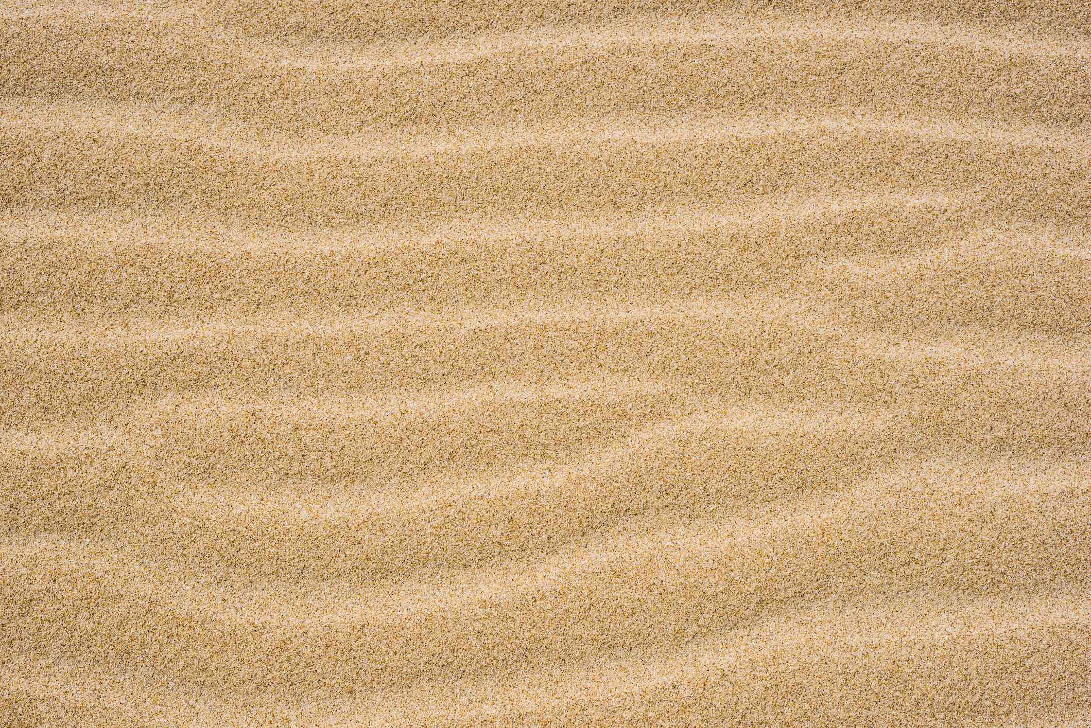 Sand texture in the beach